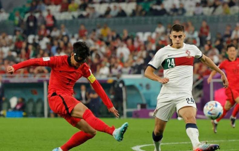 韩国对葡萄牙进球回放